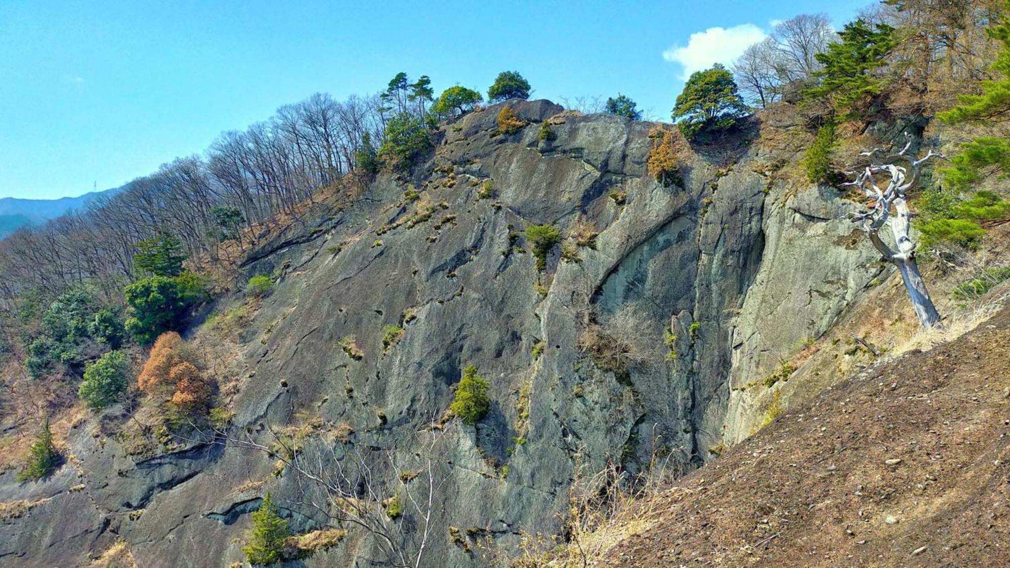 Otsuki  Toyoko Inn Fujisan Otsuki-Eki מראה חיצוני תמונה